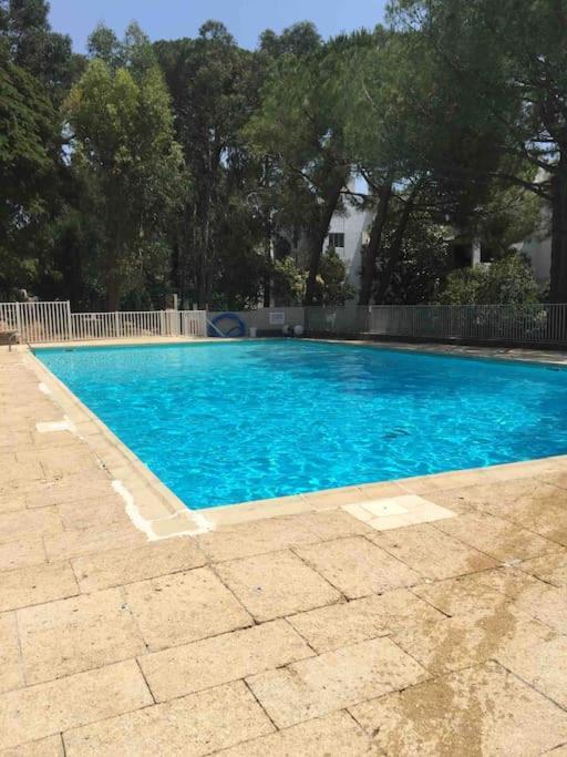 Le Dyonisos Et Piscine